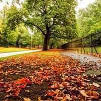 秋凉，别忘添衣