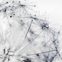 巴黎左岸的咖啡馆