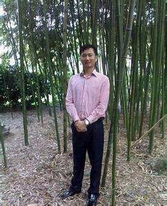 雷泽洛夫的救赎